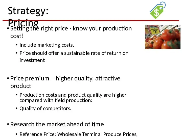 Strategy: Pricing Setting the right price - know your production