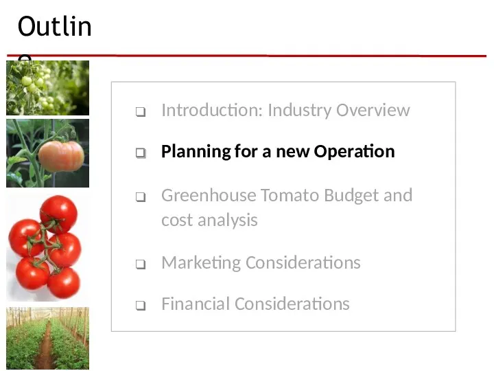 Outline Introduction: Industry Overview Planning for a new Operation Greenhouse