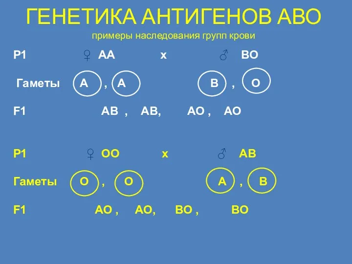 ГЕНЕТИКА АНТИГЕНОВ АВО примеры наследования групп крови Р1 ♀ АА