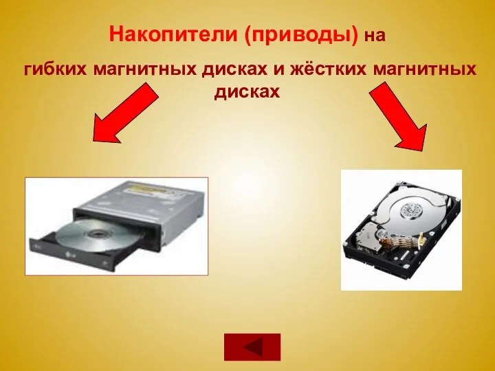 Накопители (приводы) на гибких магнитных дисках и жёстких магнитных дисках