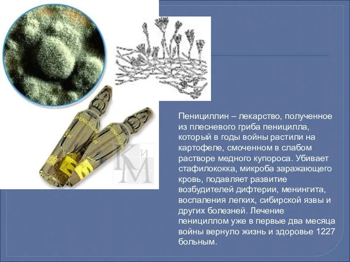 Пенициллин – лекарство, полученное из плесневого гриба пеницилла, который в