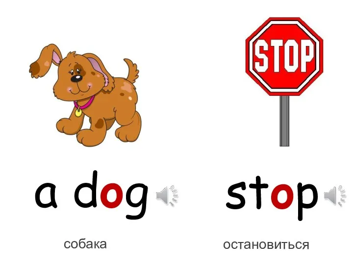 a dog собака stop остановиться