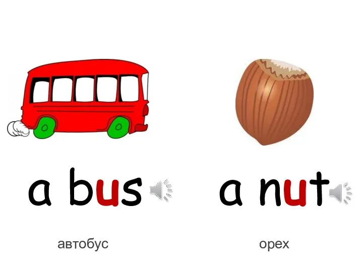 a bus a nut