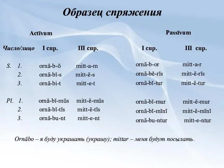 Образец спряжения S. 1. ornā-b-ō mitt-a-m 2. ornā-bĭ-s mitt-ē-s 3. ornā-bi-t mitt-e-t Pl.