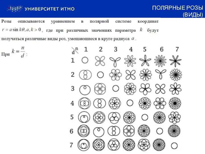 ПОЛЯРНЫЕ РОЗЫ (ВИДЫ)