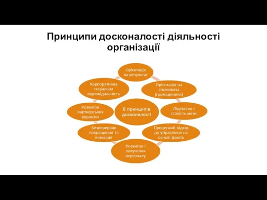 Принципи досконалості діяльності організації