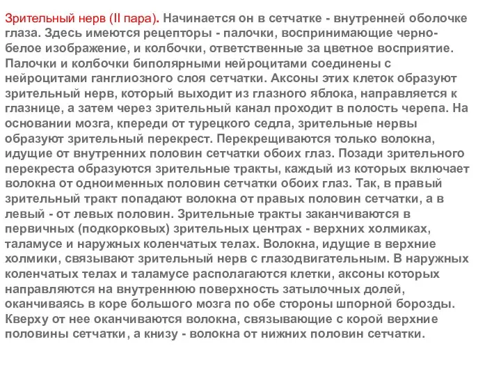 Зрительный нерв (II пара). Начинается он в сетчатке - внутренней оболочке глаза. Здесь