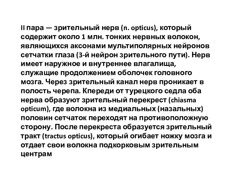 II пара — зрительный нерв (n. opticus), который содержит около 1 млн. тонких