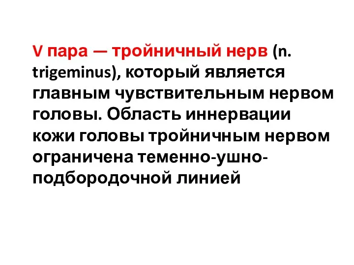 V пара — тройничный нерв (n. trigeminus), который является главным чувствительным нервом головы.