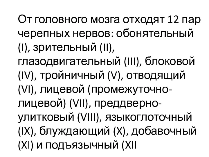 От головного мозга отходят 12 пар черепных нервов: обонятельный (I), зрительный (II), глазодвигательный