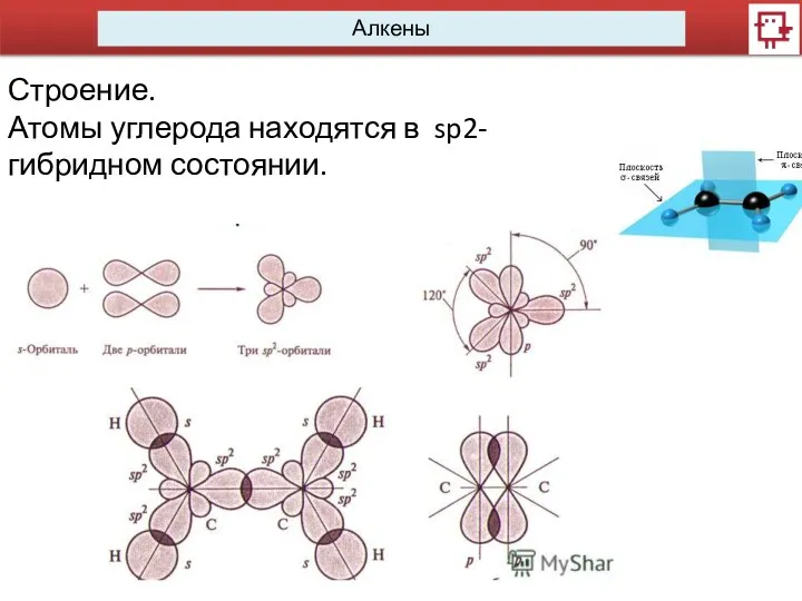 Алкены Строение. Атомы углерода находятся в sp2-гибридном состоянии.