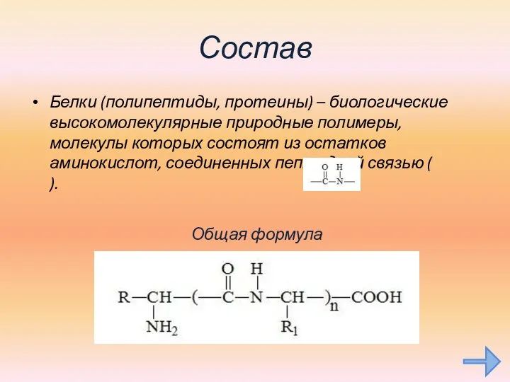 Состав Белки (полипептиды, протеины) – биологические высокомолекулярные природные полимеры, молекулы