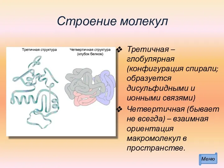 Строение молекул Третичная – глобулярная (конфигурация спирали; образуется дисульфидными и