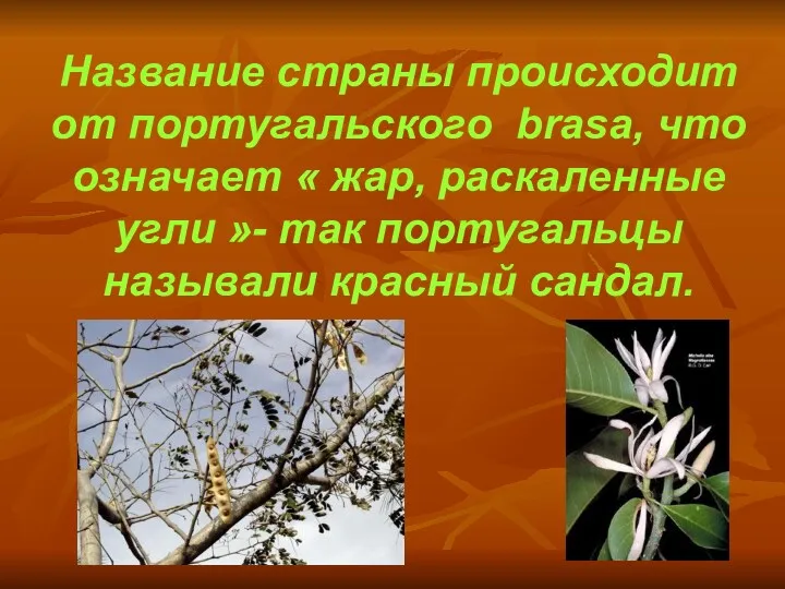 Название страны происходит от португальского brasa, что означает « жар,