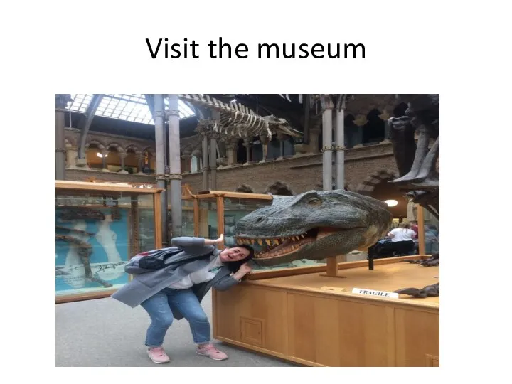 Visit the museum