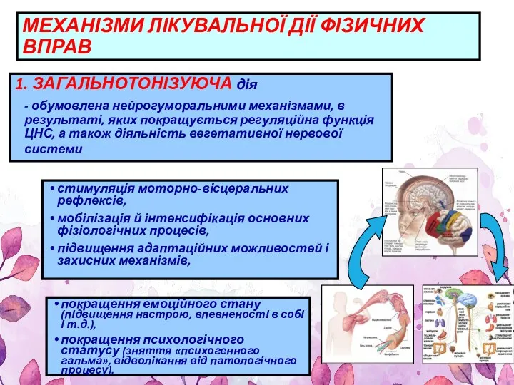 МЕХАНІЗМИ ЛІКУВАЛЬНОЇ ДІЇ ФІЗИЧНИХ ВПРАВ 1. ЗАГАЛЬНОТОНІЗУЮЧА дія - обумовлена