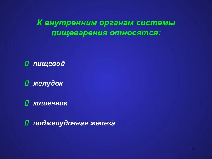 К внутренним органам системы пищеварения относятся: пищевод желудок кишечник поджелудочная железа