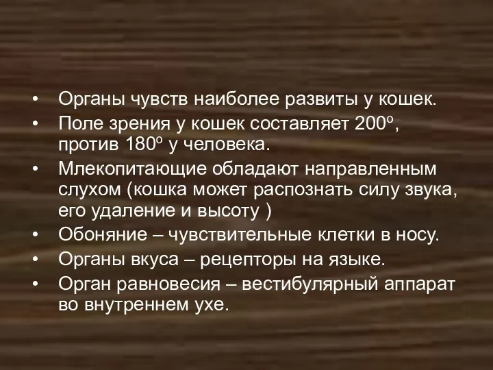 Органы чувств наиболее развиты у кошек. Поле зрения у кошек