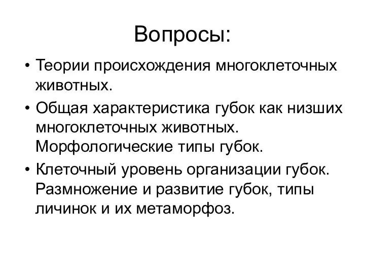 Вопросы: Теории происхождения многоклеточных животных. Общая характеристика губок как низших