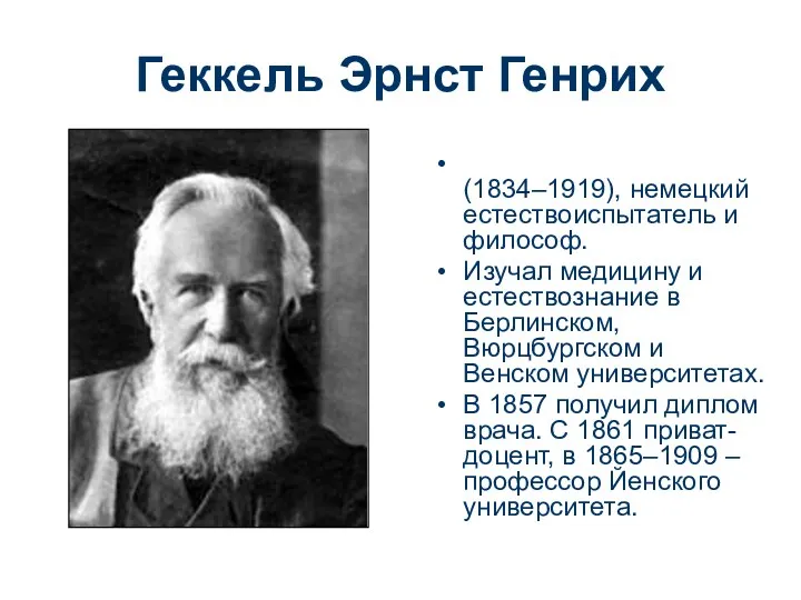 Геккель Эрнст Генрих (1834–1919), немецкий естествоиспытатель и философ. Изучал медицину