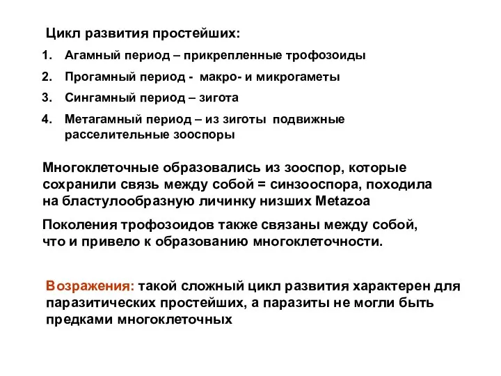 Цикл развития простейших: Агамный период – прикрепленные трофозоиды Прогамный период