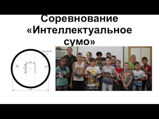 Соревнование «Интеллектуальное сумо»