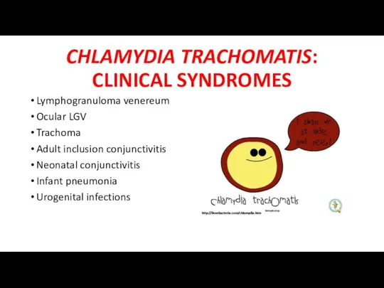 CHLAMYDIA TRACHOMATIS: CLINICAL SYNDROMES Lymphogranuloma venereum Ocular LGV Trachoma Adult