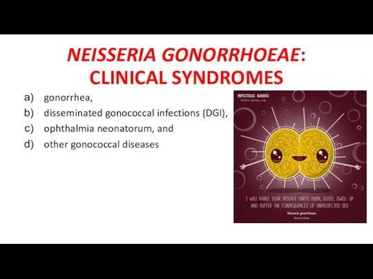 NEISSERIA GONORRHOEAE: CLINICAL SYNDROMES gonorrhea, disseminated gonococcal infections (DGI), ophthalmia neonatorum, and other gonococcal diseases