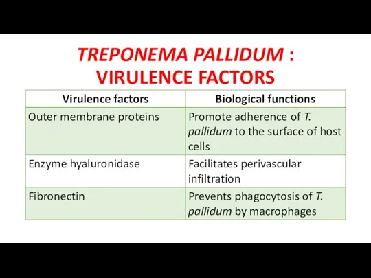 TREPONEMA PALLIDUM : VIRULENCE FACTORS