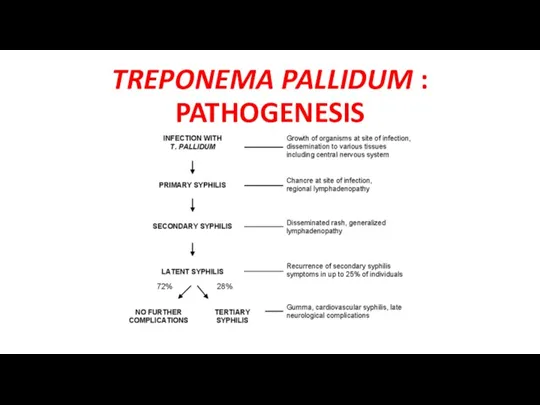 TREPONEMA PALLIDUM : PATHOGENESIS