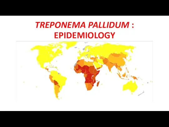 TREPONEMA PALLIDUM : EPIDEMIOLOGY