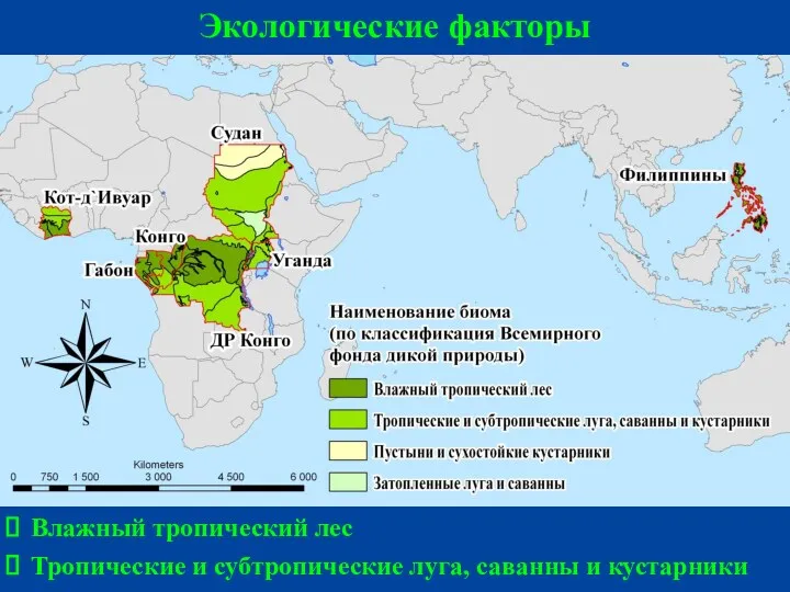 Экологические факторы Влажный тропический лес Тропические и субтропические луга, саванны и кустарники