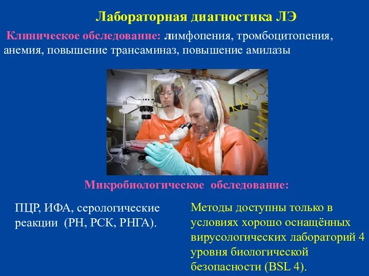 Клиническое обследование: лимфопения, тромбоцитопения, анемия, повышение трансаминаз, повышение амилазы Лабораторная