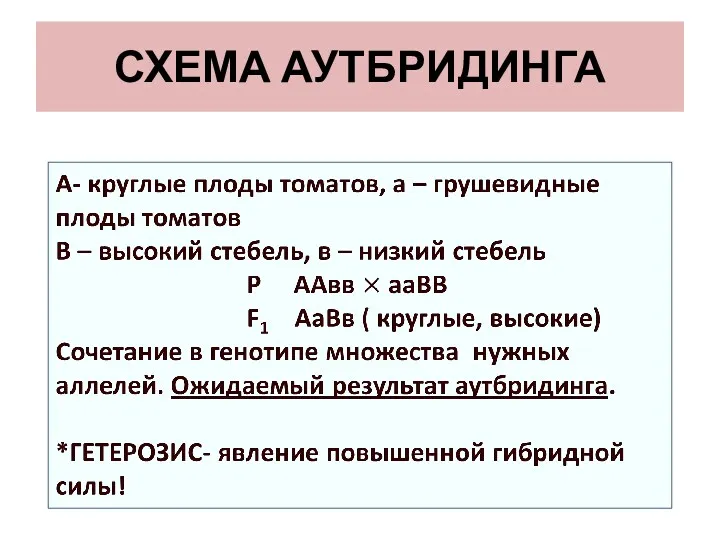 СХЕМА АУТБРИДИНГА