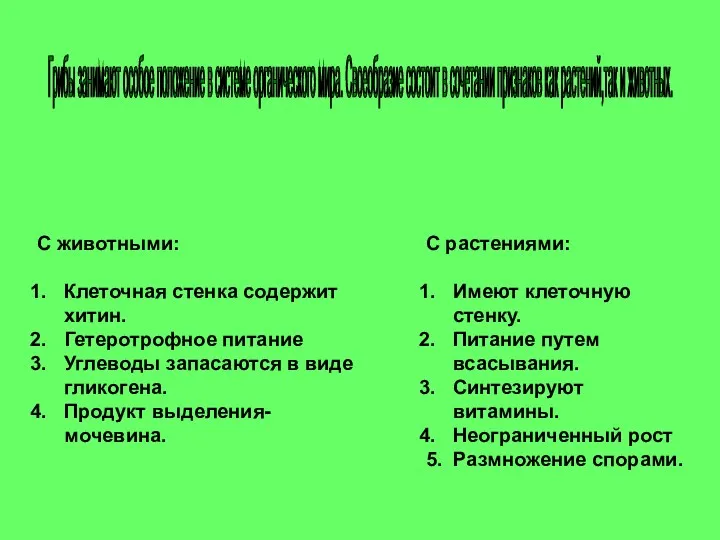 Грибы занимают особое положение в системе органического мира. Своеобразие состоит