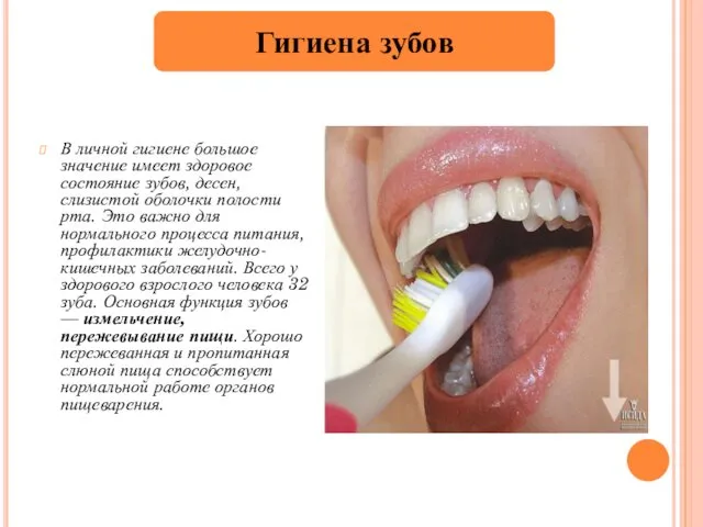 В личной гигиене большое значение имеет здоровое состояние зубов, десен, слизистой оболочки полости