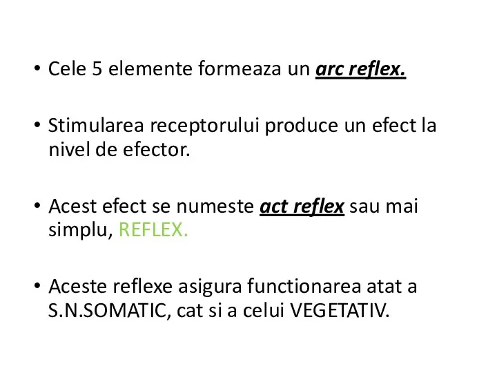 Cele 5 elemente formeaza un arc reflex. Stimularea receptorului produce