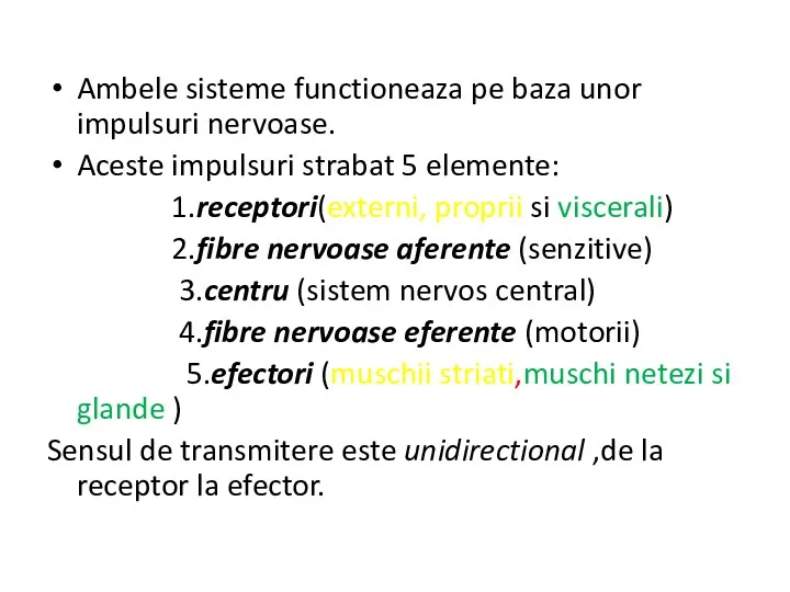 Ambele sisteme functioneaza pe baza unor impulsuri nervoase. Aceste impulsuri