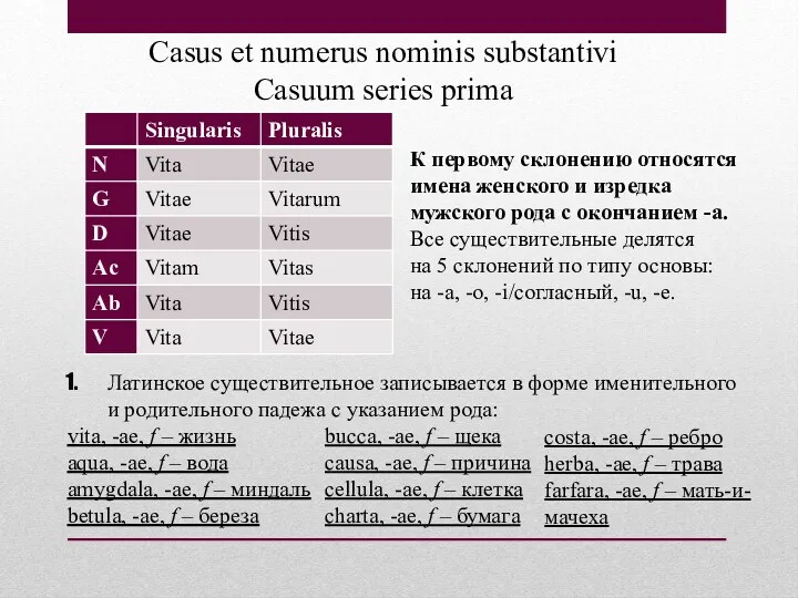 Casus et numerus nominis substantivi Casuum series prima Латинское существительное