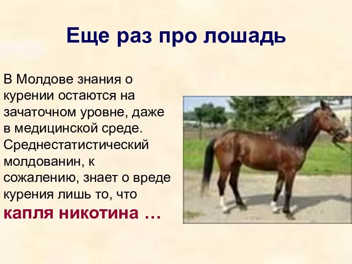 Еще раз про лошадь В Молдове знания о курении остаются