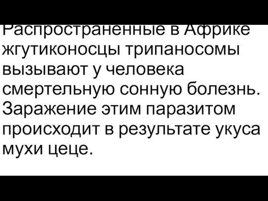 Распространенные в Африке жгутиконосцы трипаносомы вызывают у человека смертельную сонную