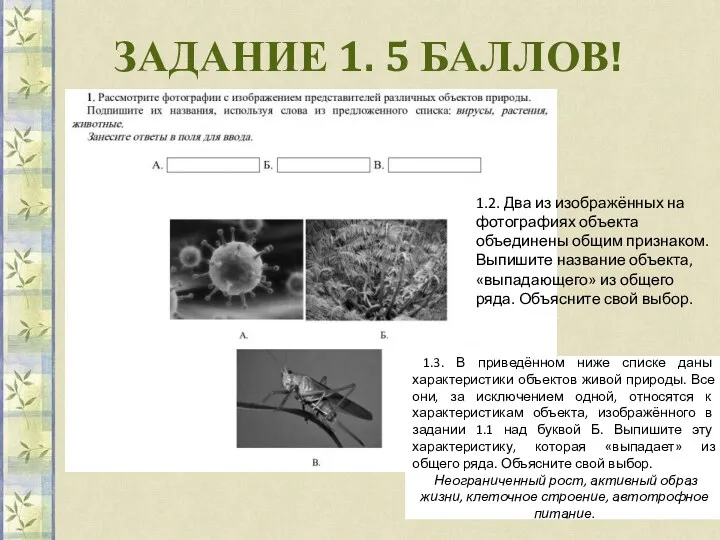 ЗАДАНИЕ 1. 5 БАЛЛОВ! 1.2. Два из изображённых на фотографиях