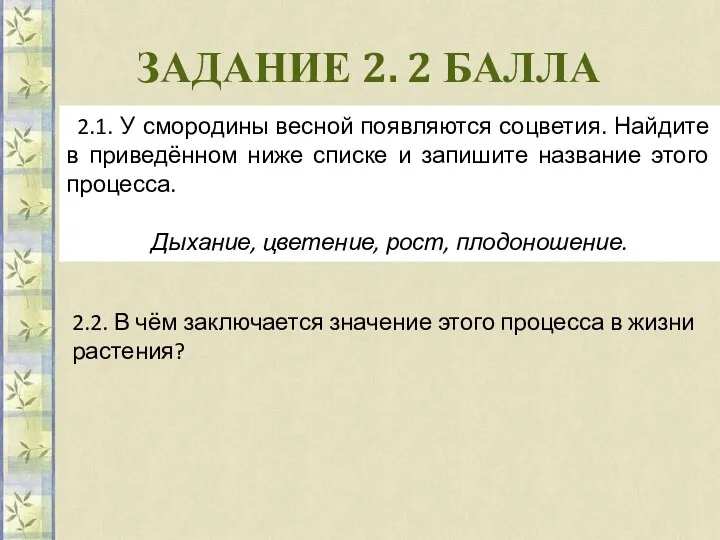 ЗАДАНИЕ 2. 2 БАЛЛА 2.1. У смородины весной появляются соцветия.