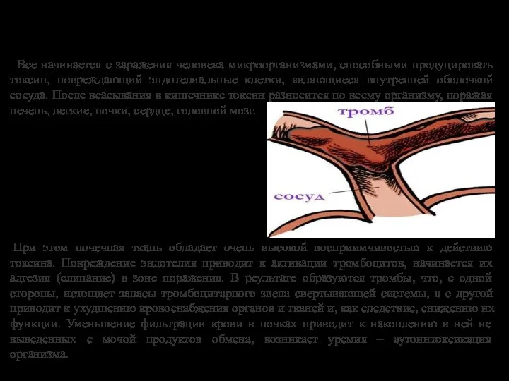 Все начинается с заражения человека микроорганизмами, способными продуцировать токсин, повреждающий