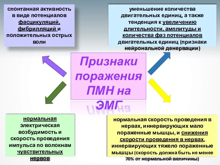 нормальная электрическая возбудимость и скорость проведения импульса по волокнам чувствительных