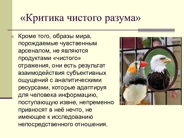 «Критика чистого разума» Кроме того, образы мира, порождаемые чувственным арсеналом,