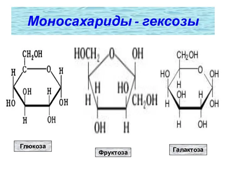 Глюкоза Фруктоза Галактоза Моносахариды - гексозы