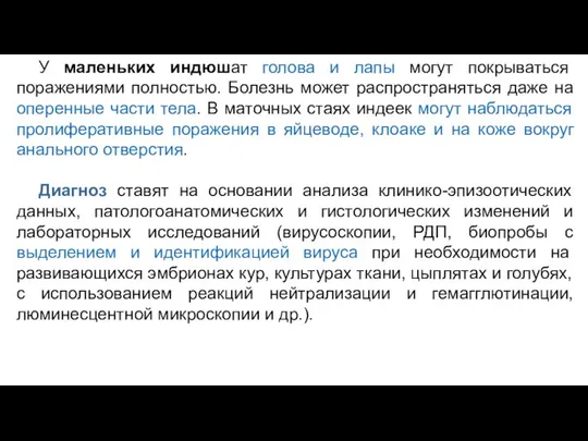 У маленьких индюшат голова и лапы могут покрываться поражениями полностью. Болезнь может распространяться