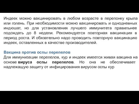 Индеек можно вакцинировать в любом возрасте в перепонку крыла или голень. При необходимости