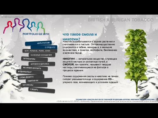что такое смола и никотин? BRITISH AMERICAN TOBACCO Никотин вырабатывается в корнях растения